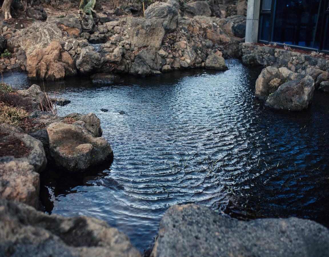 Jeju Feel Pension Extérieur photo